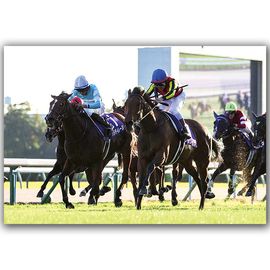 ¡ÚÁ÷ÎÁ̵ÎÁ¡Û2025ǯ ¥¨¥ê¥¶¥Ù¥¹½÷²¦ÇÕ ÌÚÀ½³ÛÆþ¤ê¼Ì¿¿¡Ú»ÍÀڥ磻¥É¡ÊB4¥µ¥¤¥º¡Ë¡Û¡Ú¾¾¦ÉÊ¤È¤ÎÆ±ºÉԲġÛ