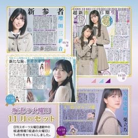 日刊スポーツショッピング |