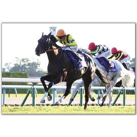 【送料無料】2025年 マイルチャンピオンシップ 木製額入り写真【四切ワイド(B4サイズ)】【他商品との同梱不可】