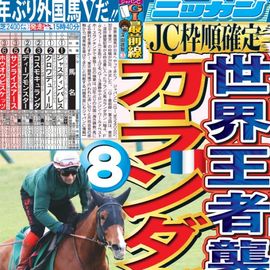 ����¨���� 2025ǯ11��28���� �������ݡ��ĥХå��ʥ�С�