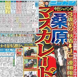 ����� 2025ǯ11��30���� �������ݡ��ĥХå��ʥ�С�