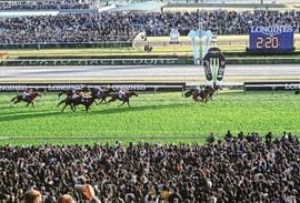 日刊スポーツ報道写真集 ニッカン50周年非売品 日刊スポーツ報道写真集 ニッカン50周年非売品