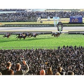 日刊スポーツショッピング |