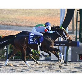 日刊スポーツショッピング |