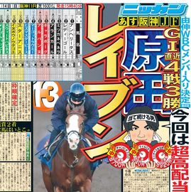 ����¨���� 2025ǯ12��13���� �������ݡ��ĥХå��ʥ�С�