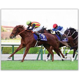 ������̵����2025ǯ �������٥ʥ���ե��꡼�� ����������̿� ��Ⱦ�ڡ�A3�������ˡۡ�¾���ʤȤ�Ʊ���Բġ�