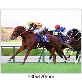 日刊スポーツショッピング |