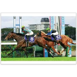 ������̵����2025ǯ ī���եե塼�����ƥ����ơ����� ����������̿��ڻ��ڥ磻�ɡ�B4�������ˡۡ�¾���ʤȤ�Ʊ���Բġ�