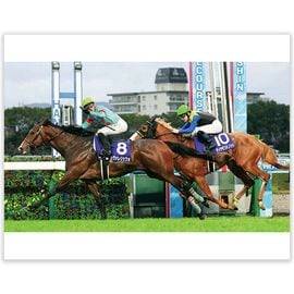 競馬写真 | 日刊スポーツショッピング