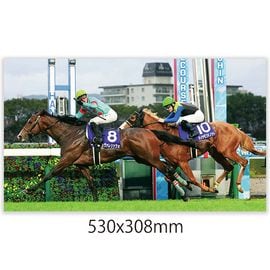 【超希少】 スポーツ新聞完品　日刊スポーツ　タイキシャトル　スプリンターズS 入手困難】 スポーツ新聞完品日刊スポーツタイキシャトルスプリンターズS