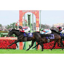 日刊スポーツショッピング | 商品一覧