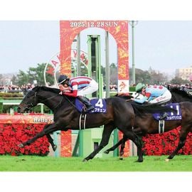 ������̵����2025ǯ �ۡ��ץե륹�ơ����� ����������̿� ��Ⱦ�ڡ�A3�������ˡۡ�¾���ʤȤ�Ʊ���Բġ�