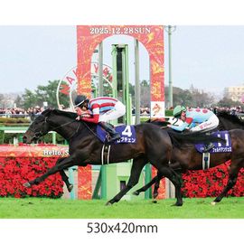 日刊スポーツショッピング |