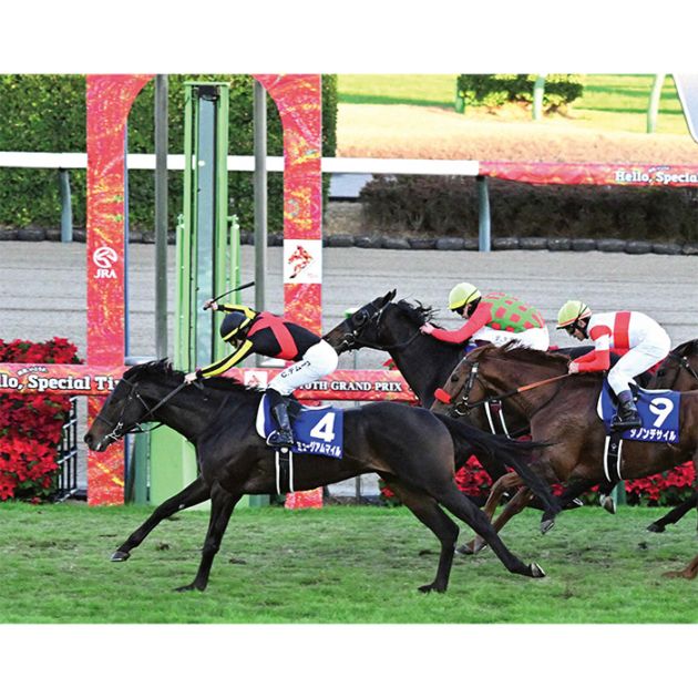 送料無料】2025年 有馬記念 木製額入り写真 【半切（A3サイズ）】【他