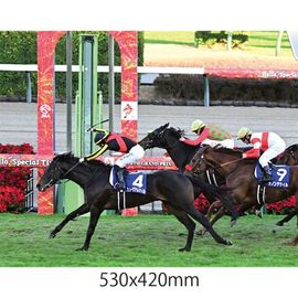 日刊スポーツショッピング |