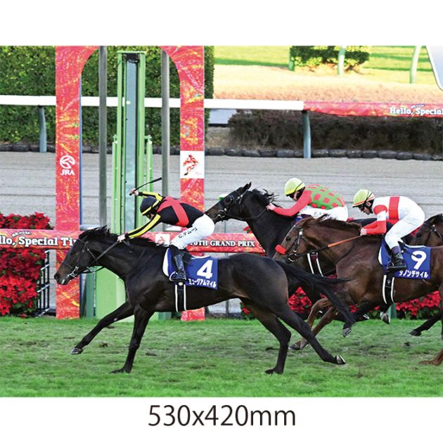 送料無料】2025年 有馬記念 全紙パネル【木製パネル】【他商品との同梱