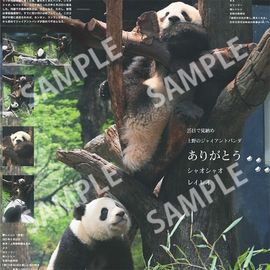 �ѥ�� ���顼�ý� ���㥪���㥪���쥤�쥤�Ǻ� 2026ǯ1��19���������� �������ݡ��ĥХå��ʥ�С�