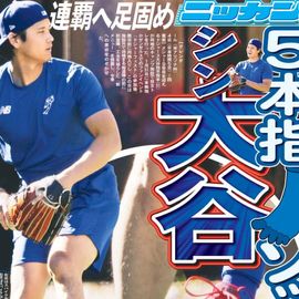 日刊スポーツショッピング |