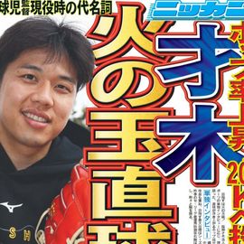 ����� 2026ǯ2��17���� �������ݡ��ĥХå��ʥ�С�