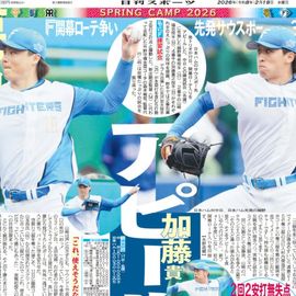 �̳�ƻ�� 2026ǯ2��18���� �������ݡ��ĥХå��ʥ�С�