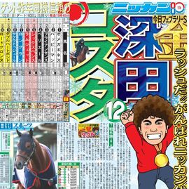 日刊スポーツ,都内即売版 | 日刊スポーツショッピング