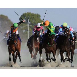 日刊スポーツショッピング |