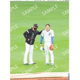 �̳�ƻ�� 2026ǯ3��10���� �������ݡ��ĥХå��ʥ�С�