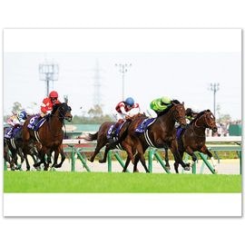 ������̵����2026ǯ �⾾�ܵ�ǰ ����������̿� ��Ⱦ�ڡ�A3�������ˡۡ�¾���ʤȤ�Ʊ���Բġ�