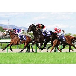 ������̵����2026ǯ ����� ����������̿��ڻ��ڥ磻�ɡ�B4�������ˡۡ�¾���ʤȤ�Ʊ���Բġ�