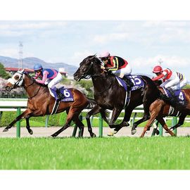 ������̵����2026ǯ ����� ����������̿� ��Ⱦ�ڡ�A3�������ˡۡ�¾���ʤȤ�Ʊ���Բġ�