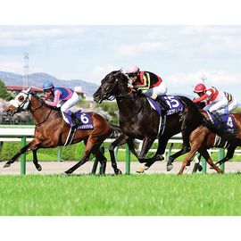 ������̵����2026ǯ ����� ����ѥͥ�������ѥͥ�ۡ�¾���ʤȤ�Ʊ���Բġ�