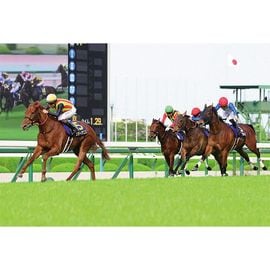 ������̵����2026ǯ ���־� ����������̿��ڻ��ڥ磻�ɡ�B4�������ˡۡ�¾���ʤȤ�Ʊ���Բġ�