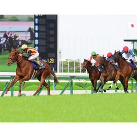 ������̵����2026ǯ ���־� ����������̿� ��Ⱦ�ڡ�A3�������ˡۡ�¾���ʤȤ�Ʊ���Բġ�