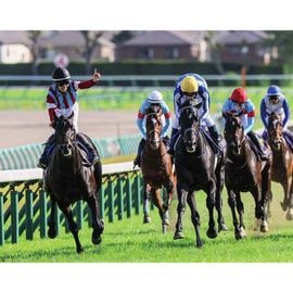 日刊スポーツ競馬特集号セット2018 特集号,競馬特集号 | 日刊スポーツショッピング