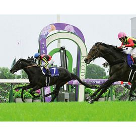 日刊スポーツショッピング | 商品一覧