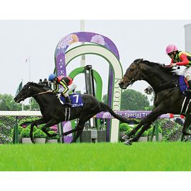 日刊スポーツショッピング |