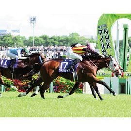 日刊スポーツショッピング |