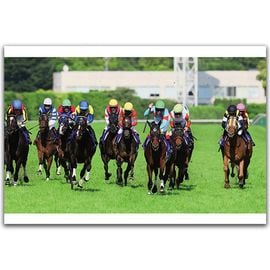 競馬写真 | 日刊スポーツショッピング