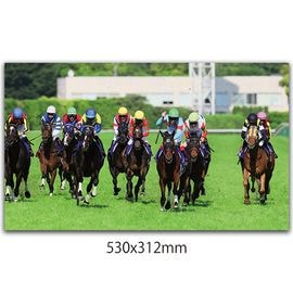 日刊スポーツショッピング |