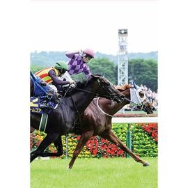 日刊スポーツショッピング | 商品一覧