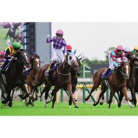 日刊スポーツ競馬特集号セット2018 日刊スポーツ競馬特集号セット2018 特集号,競馬特集号 | 日刊スポーツ