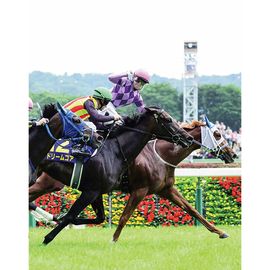 日刊スポーツショッピング | 商品一覧