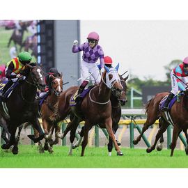 日刊スポーツショッピング | 商品一覧