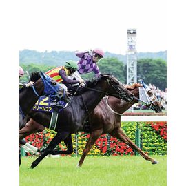 競馬写真 | 日刊スポーツショッピング