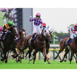 競馬写真 | 日刊スポーツショッピング
