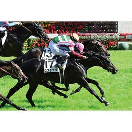 競馬写真 | 日刊スポーツショッピング