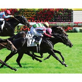 日刊スポーツショッピング | 商品一覧