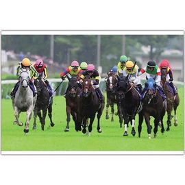 ������̵����2026ǯ ���ĵ�ǰ ����������̿��ڻ��ڥ磻�ɡ�B4�������ˡۡ�¾���ʤȤ�Ʊ���Բġ�