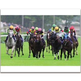 日刊スポーツショッピング | 商品一覧