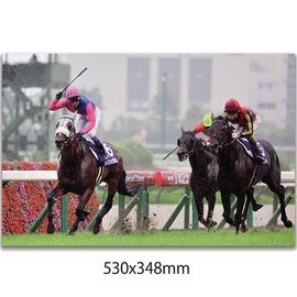 日刊スポーツショッピング |